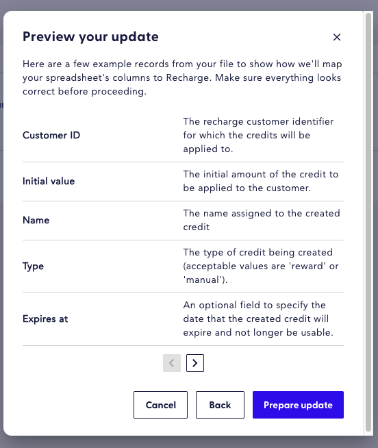 Preview of an update mapping spreadsheet columns to Recharge with fields for Customer ID, Initial Value, Name, Type, and Expiration.