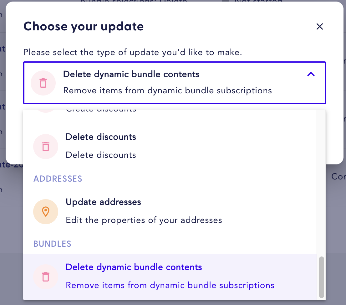 The image displays the Choose your update options screen with the Delete dynamic bundle contents option selected.